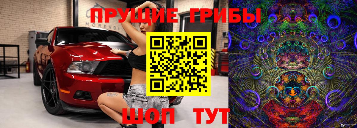 Псилоцибиновые грибы мицелий  Сосновоборск 